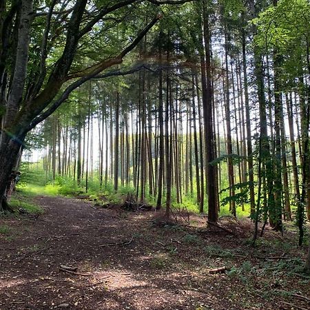 Zimmer Mit Bergblick Starnberg Eksteriør bilde