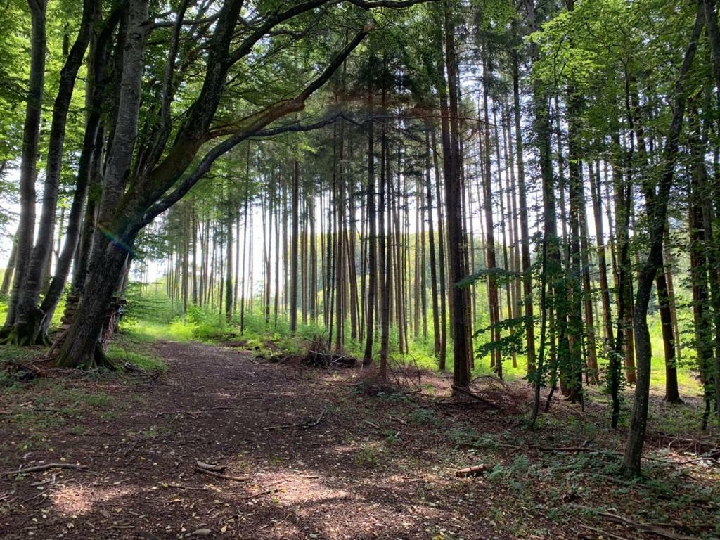 Zimmer Mit Bergblick Starnberg Eksteriør bilde